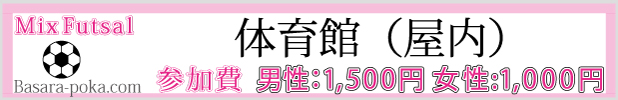 体育館フットサルサークル