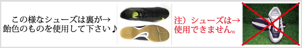 成増サークル体育館シューズ