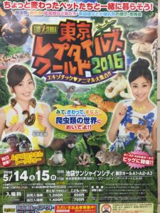 東京レプタイルズワールド16に行ってきました 社会人サークル思い出albumとメンバー日記 東京レプタイルズワールド16に行ってきました 社会人サークル思い出albumとメンバー日記